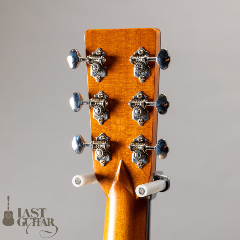 Iwaneko Guitars Type-DC Simple Style Colored Top