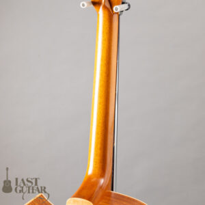 Iwaneko Guitars Type-DC Simple Style Colored Top