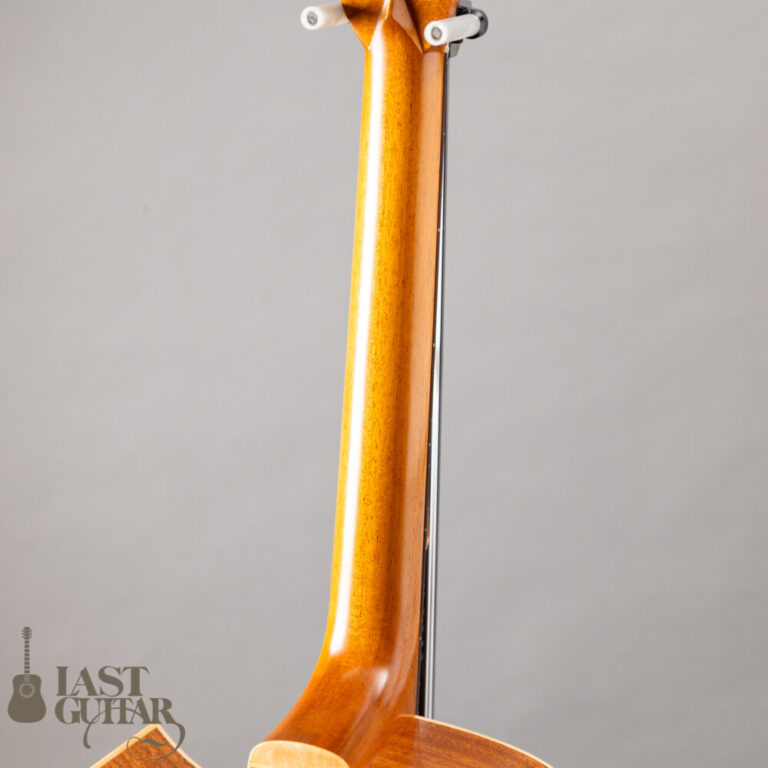 Iwaneko Guitars Type-DC Simple Style Colored Top