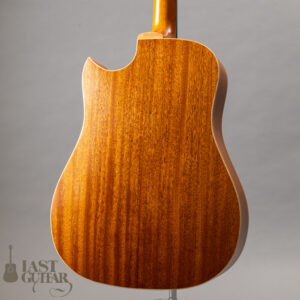 Iwaneko Guitars Type-DC Simple Style Colored Top