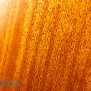 Iwaneko Guitars Type-DC Simple Style Colored Top