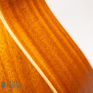 Iwaneko Guitars Type-DC Simple Style Colored Top