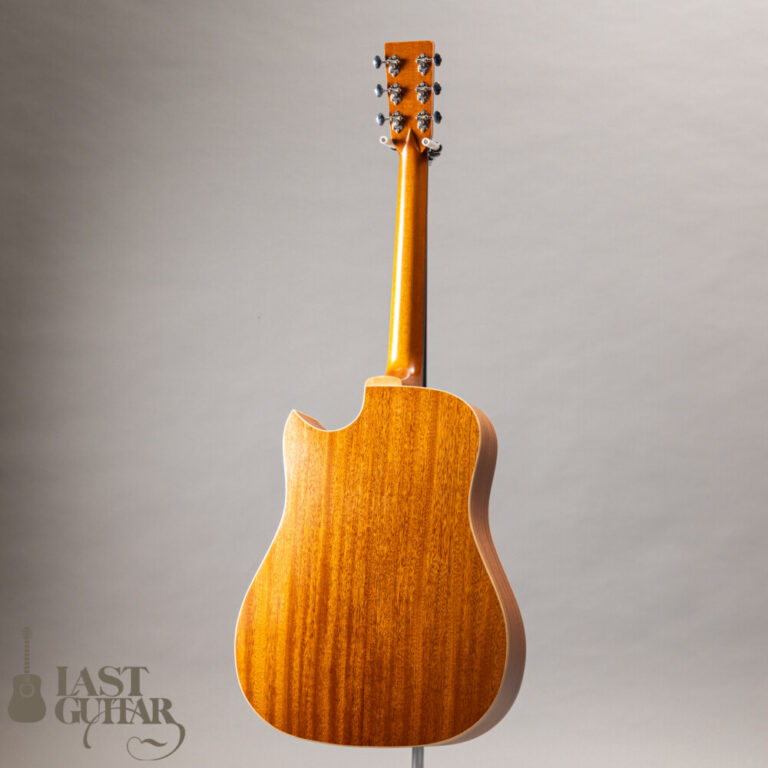 Iwaneko Guitars Type-DC Simple Style Colored Top