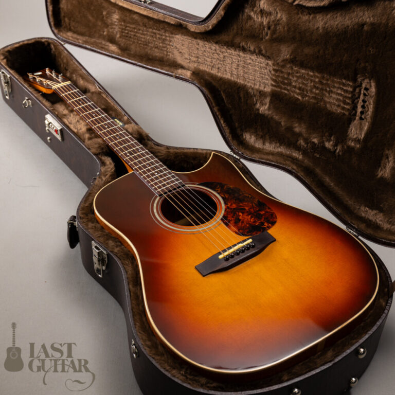 Iwaneko Guitars Type-DC Simple Style Colored Top