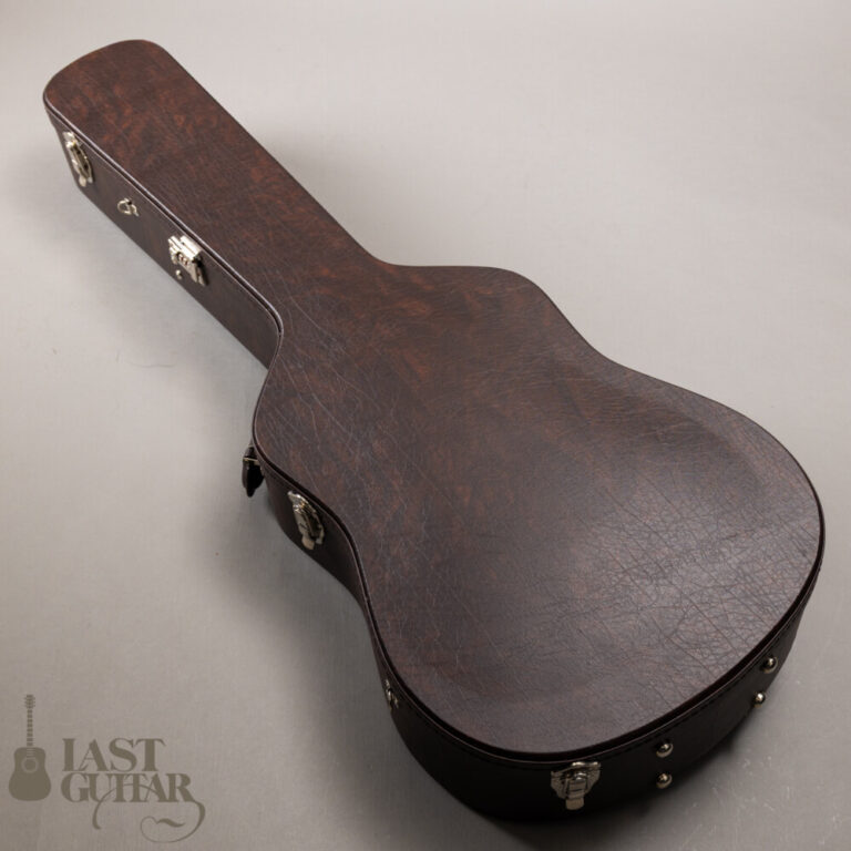 Iwaneko Guitars Type-DC Simple Style Colored Top