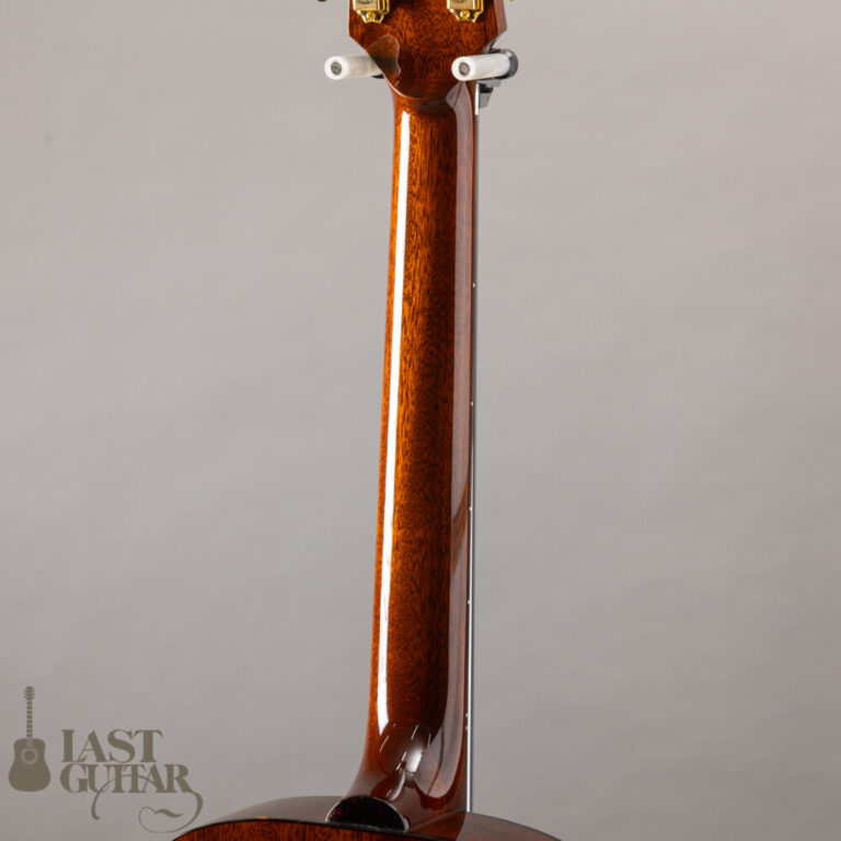 Rozeo Ladybug Mahogany Brown