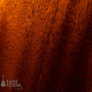 Rozeo Ladybug Mahogany Brown