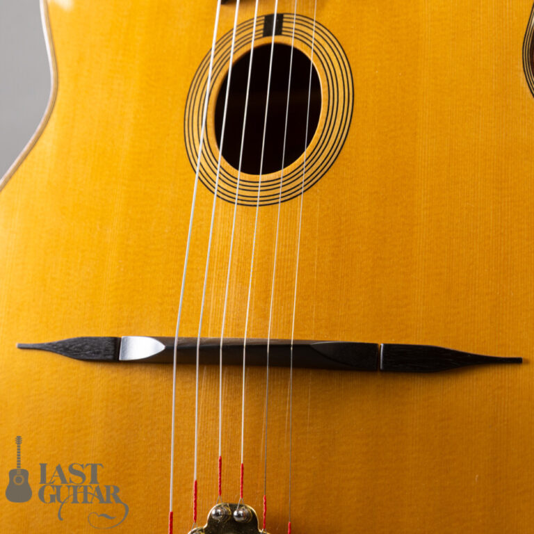 Shelley D. Park Encore Santos Rosewood