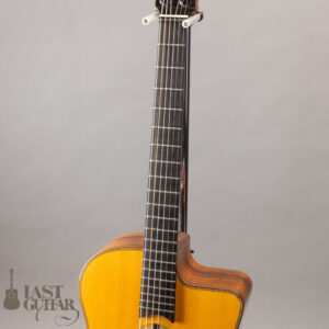 Shelley D. Park Encore Santos Rosewood