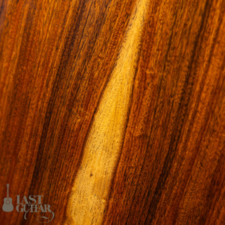 Shelley D. Park Encore Santos Rosewood