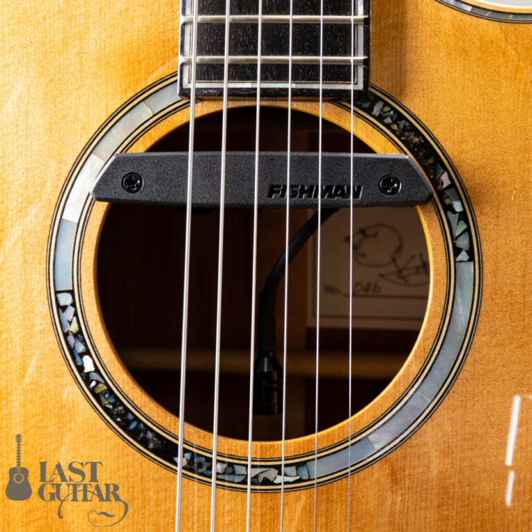 Iwaneko Guitars Type-Vibrato NC Thin Bubinga