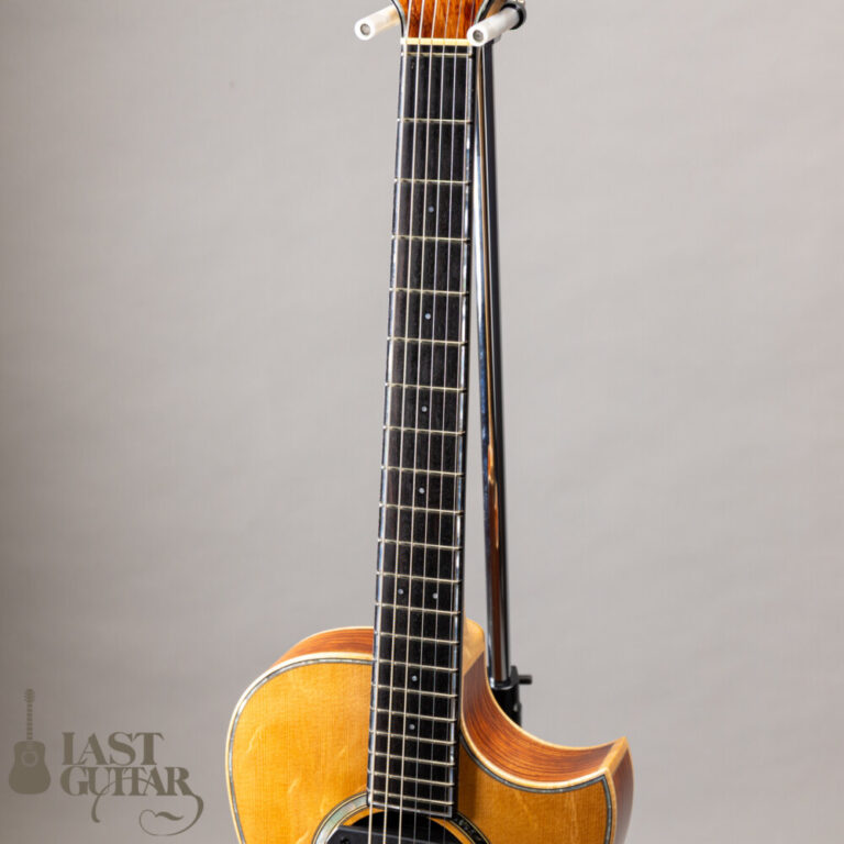 Iwaneko Guitars Type-Vibrato NC Thin Bubinga