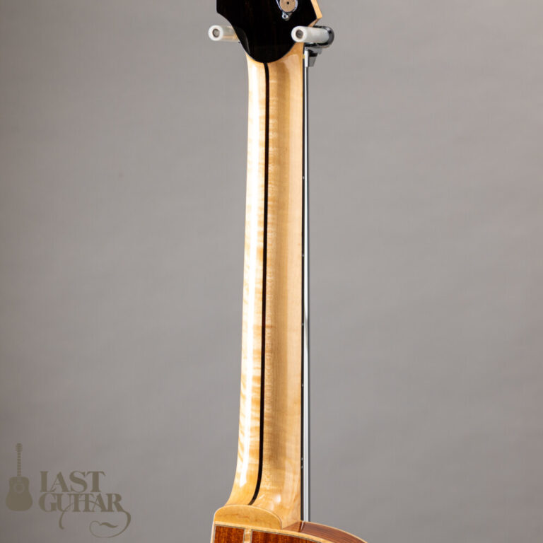 Iwaneko Guitars Type-Vibrato NC Thin Bubinga