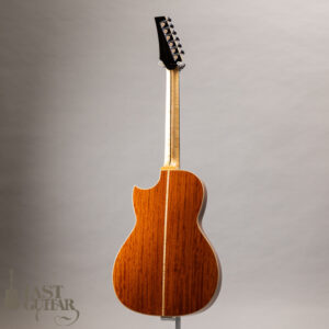 Iwaneko Guitars Type-Vibrato NC Thin Bubinga