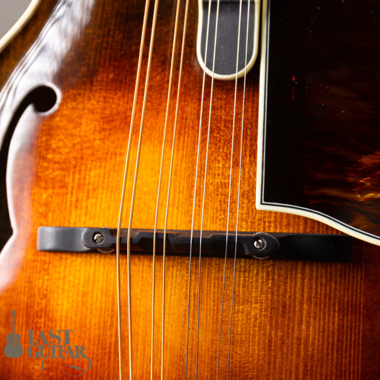 Iwashita Mandolins&Guitars F-5