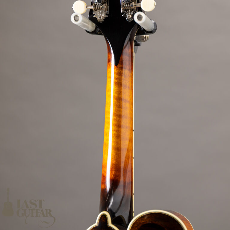 Iwashita Mandolins&Guitars F-5