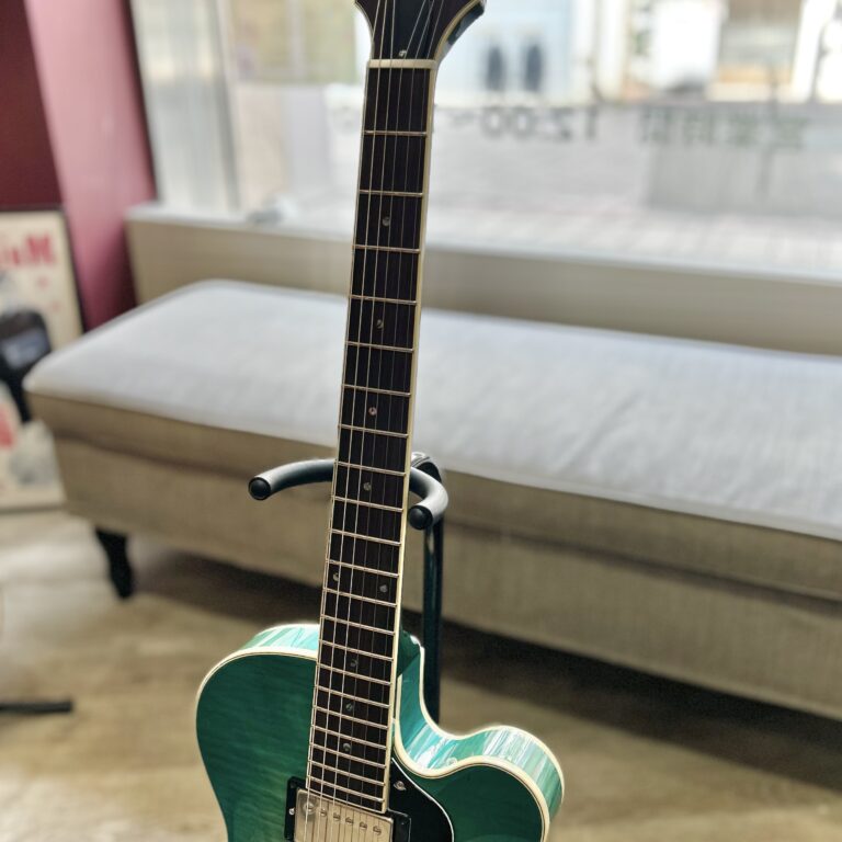 Rozeo Ladybug-CB CM HB Blue Burst