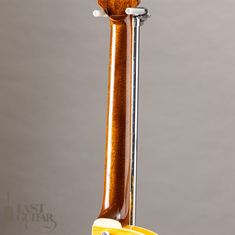 Rozeo Ladybug-CB CM HB SS Vintage Amber