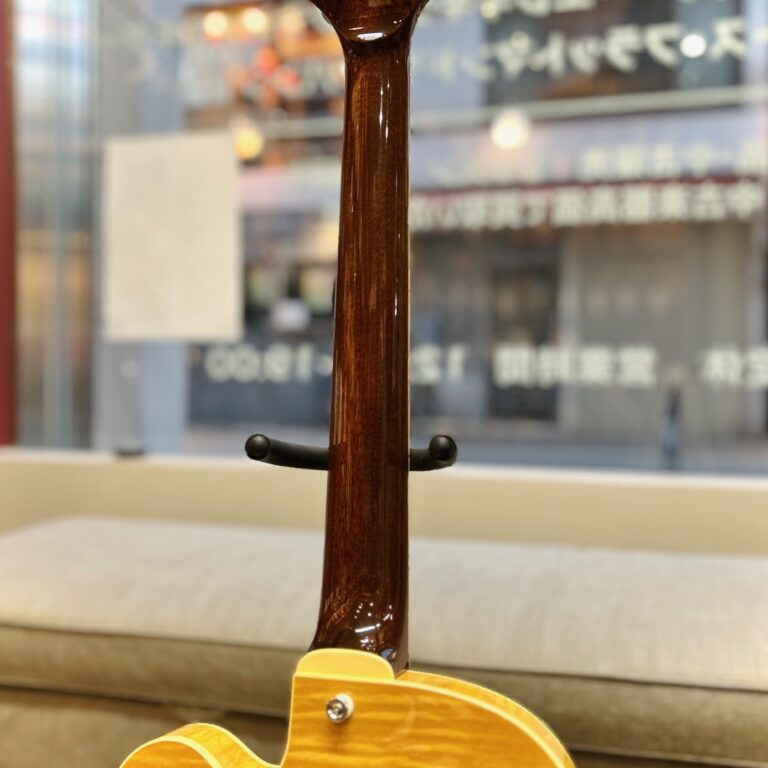 Rozeo Ladybug-CB CM HB SS Vintage Amber