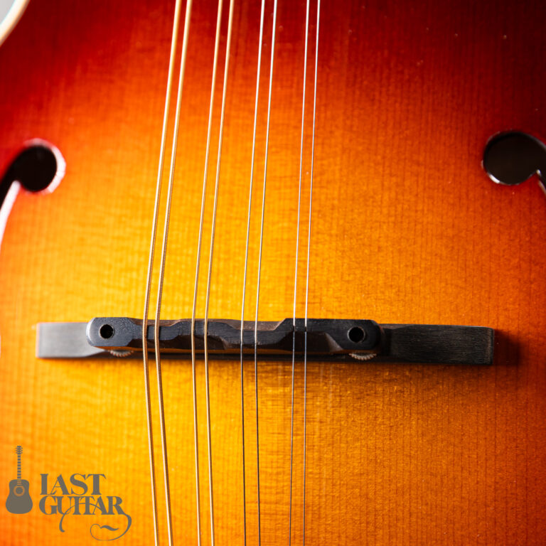Gibson Custom Shop F-5G Dark Burst