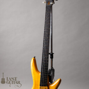 Ibanez GWB1005 NTF GARY WILLIS