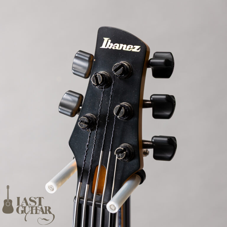 Ibanez GWB1005 NTF GARY WILLIS