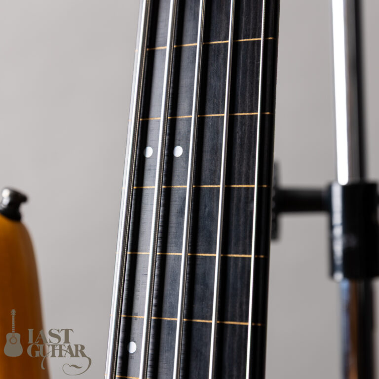 Ibanez GWB1005 NTF GARY WILLIS