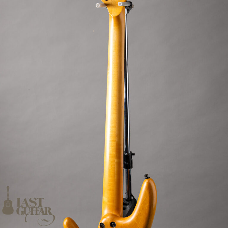 Ibanez GWB1005 NTF GARY WILLIS