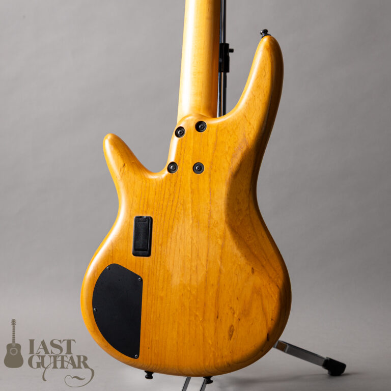Ibanez GWB1005 NTF GARY WILLIS
