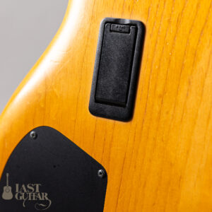 Ibanez GWB1005 NTF GARY WILLIS