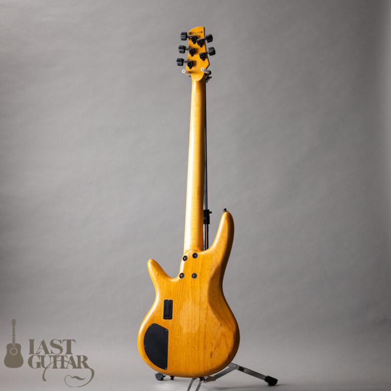 Ibanez GWB1005 NTF GARY WILLIS