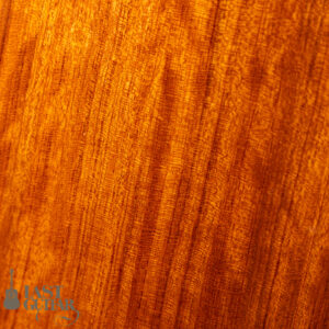 Iwaneko Guitars Type-MS Simple Style German Spruce Top