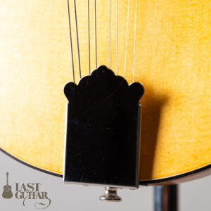 Lasting Army Navy Mandolin