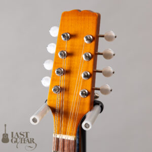 Lasting Army Navy Mandolin