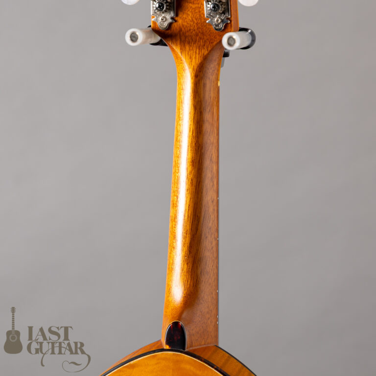 Lasting Army Navy Mandolin