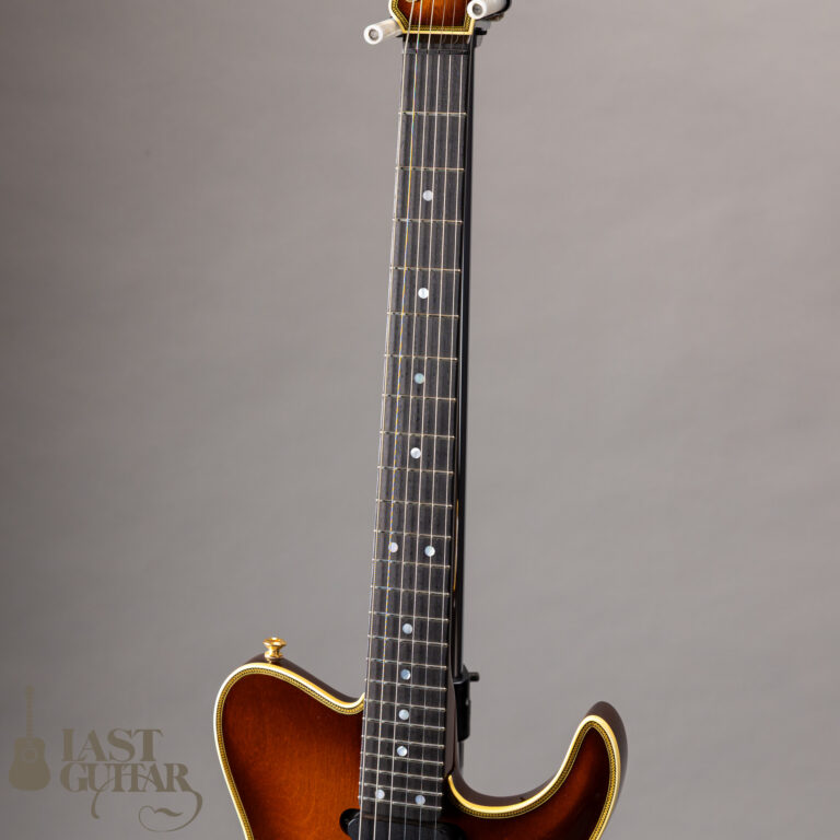 Valley Arts Japan Larry Carlton Signature LC298