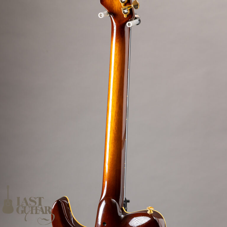 Valley Arts Japan Larry Carlton Signature LC298