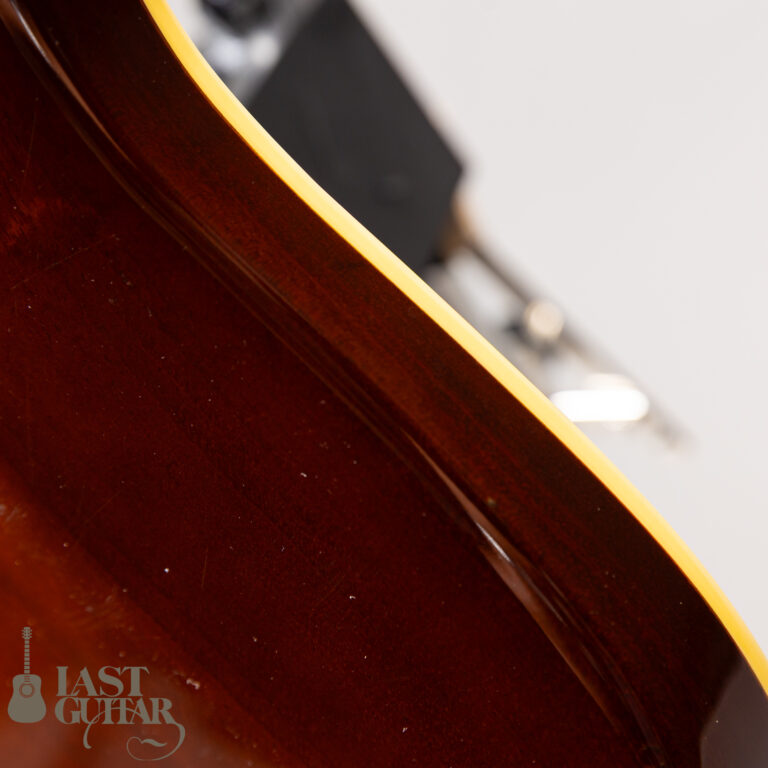 Valley Arts Japan Larry Carlton Signature LC298