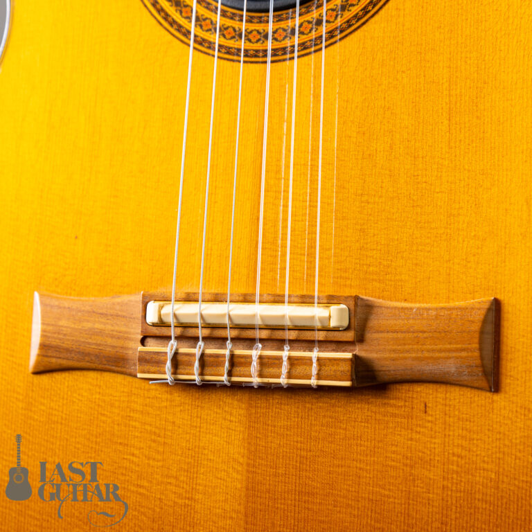 Gibson Chet Atkins CE 1996 NAT