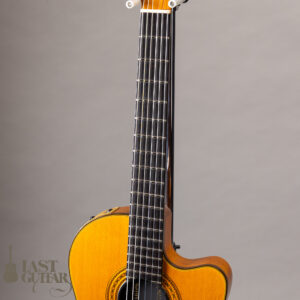 Gibson Chet Atkins CE 1996 NAT