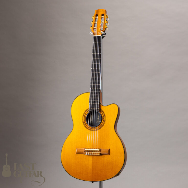 Gibson Chet Atkins CE 1996 NAT