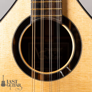 Voyager Guitars Irish Bouzouki