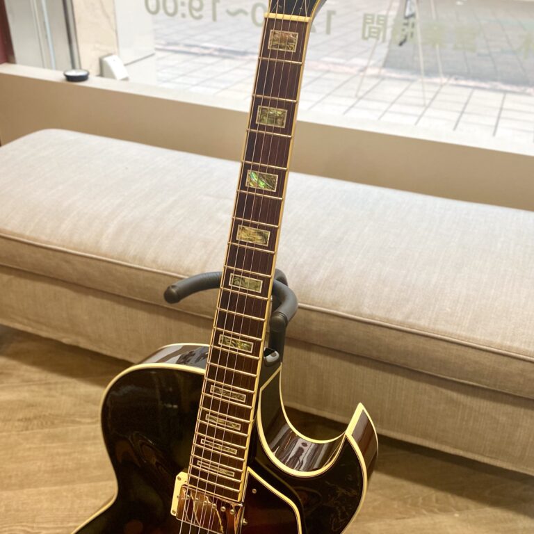 Ibanez Artcore Deluxe AK86 DVS