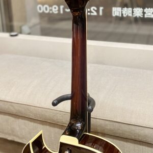 Ibanez Artcore Deluxe AK86 DVS