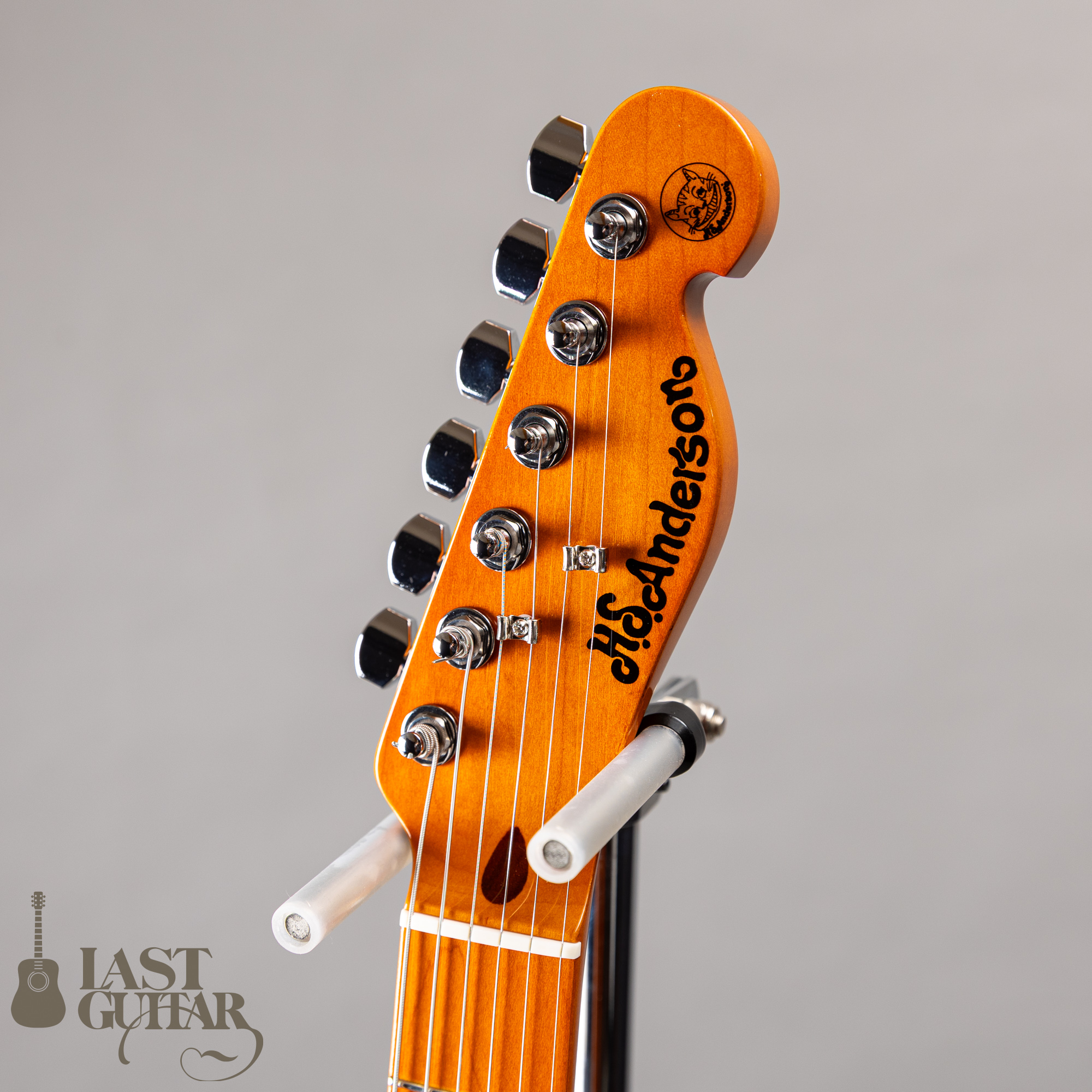 H.S.Anderson MAD CAT HS-1 | LAST GUITAR OFFICIAL WEBSITE