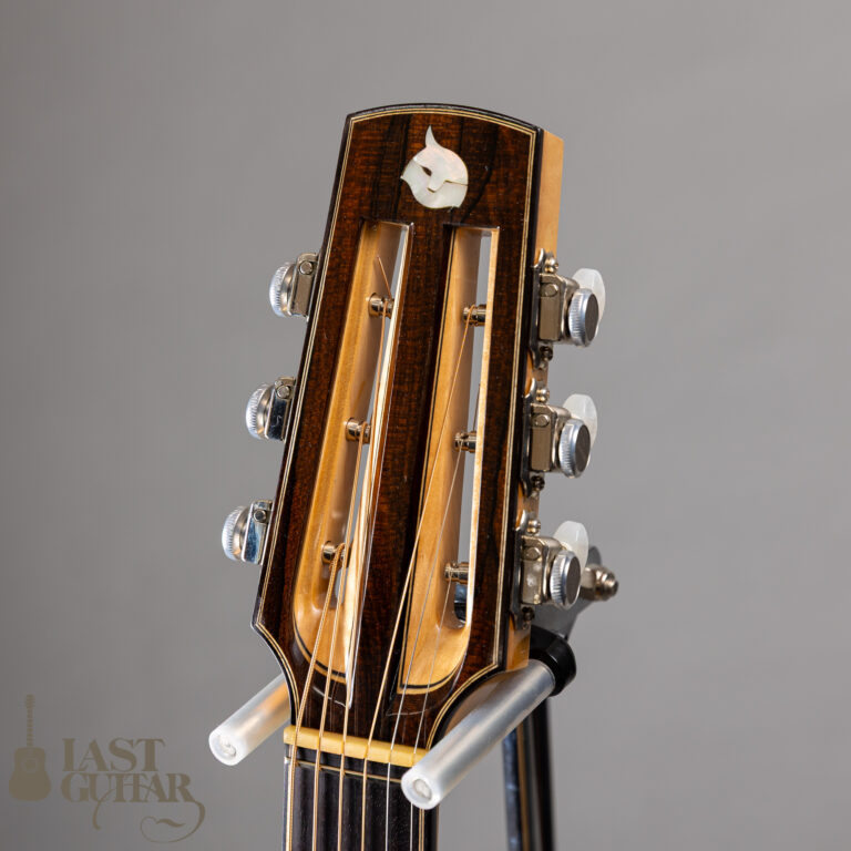 Iwaneko Guitars Type-MF Black Top