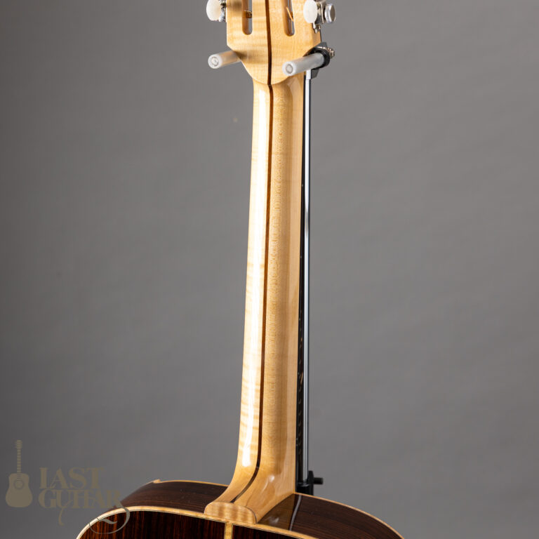 Iwaneko Guitars Type-MF Black Top