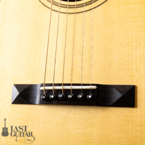 Shelley D Park Vega Style Parlour LG10