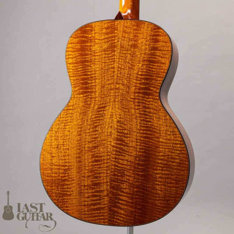 Shelley D Park Vega Style Parlour LG10