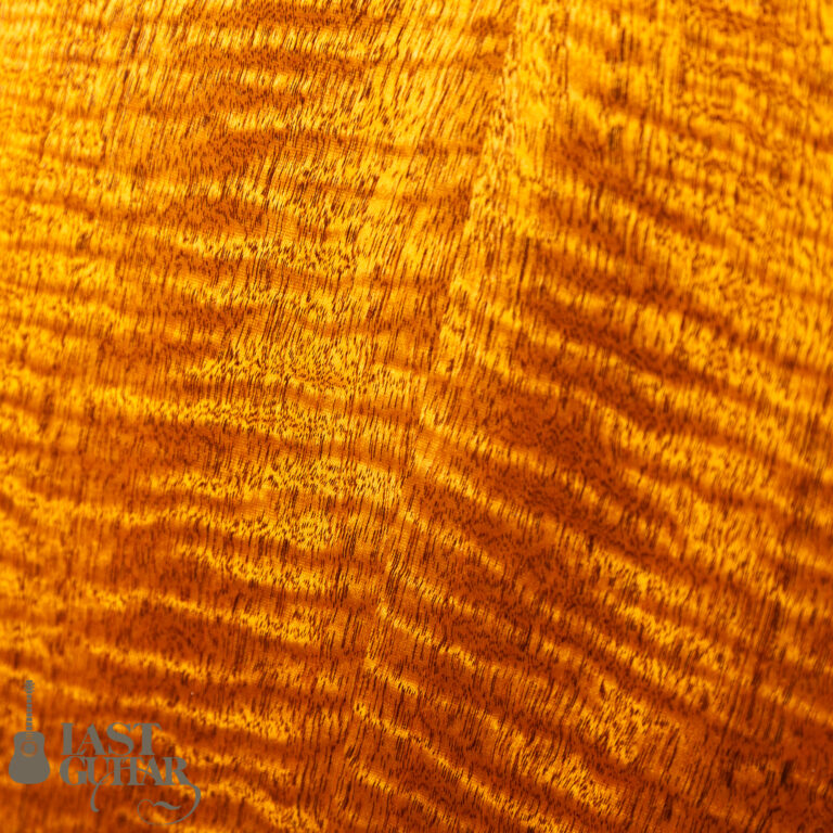 Shelley D Park Vega Style Parlour LG10